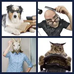 4 images 1 mot niveau 465