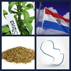 4 images 1 mot niveau 470