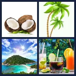 4 images 1 mot niveau 472