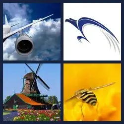 4 images 1 mot niveau 482