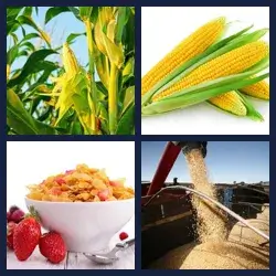 4 images 1 mot niveau 493