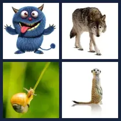 4 images 1 mot niveau 494