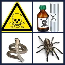 4 images 1 mot niveau 498