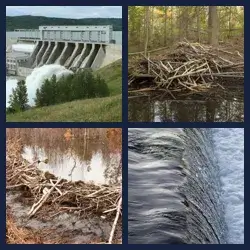 4 images 1 mot niveau 503