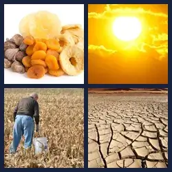 4 images 1 mot niveau 505