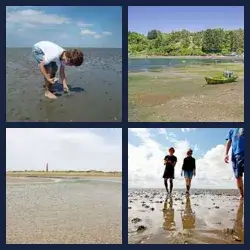 4 images 1 mot niveau 513