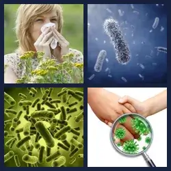 4 images 1 mot niveau 514