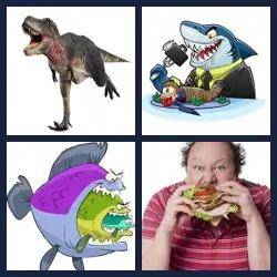 4 images 1 mot niveau 523