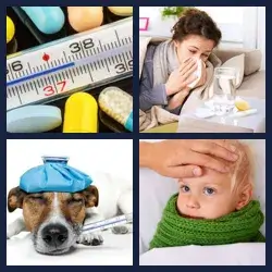 4 images 1 mot niveau 526