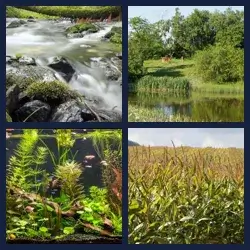 4 images 1 mot niveau 529