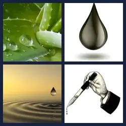 4 images 1 mot niveau 532