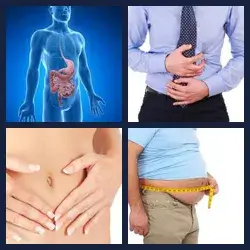 4 images 1 mot niveau 543