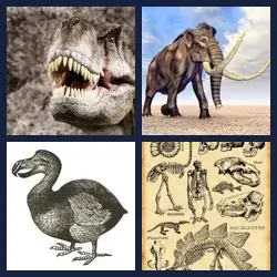 4 images 1 mot niveau 548