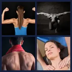 4 images 1 mot niveau 571