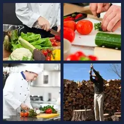 4 images 1 mot niveau 589