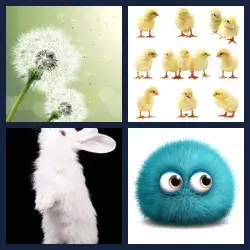 4 images 1 mot niveau 591