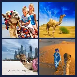 4 images 1 mot niveau 592