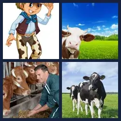 4 images 1 mot niveau 595