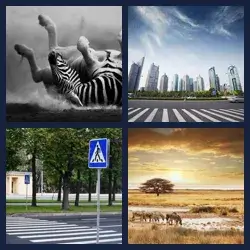 4 images 1 mot niveau 599