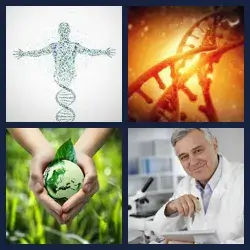 4 images 1 mot niveau 604