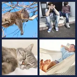 4 images 1 mot niveau 609