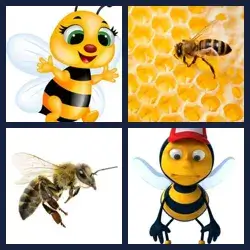 4 images 1 mot niveau 611