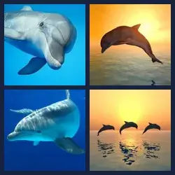 4 images 1 mot niveau 613