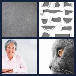 4 images 1 mot niveau 627