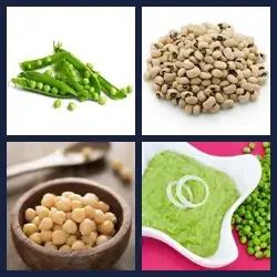 4 images 1 mot niveau 630