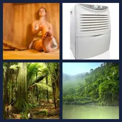 4 images 1 mot niveau 645