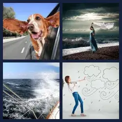 4 images 1 mot niveau 647