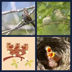 4 images 1 mot niveau 649