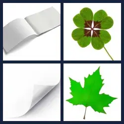 4 images 1 mot niveau 65