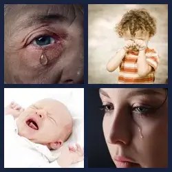 4 images 1 mot niveau 701