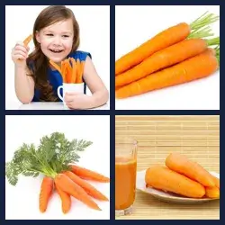 4 images 1 mot niveau 758