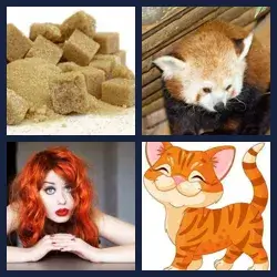 4 images 1 mot niveau 779