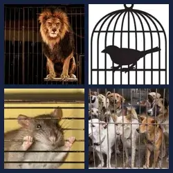 4 images 1 mot niveau 789