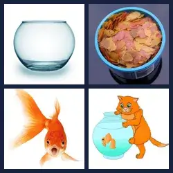 4 images 1 mot niveau 793