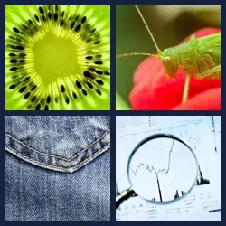 4 images 1 mot niveau 799