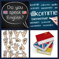 4 images 1 mot niveau 812