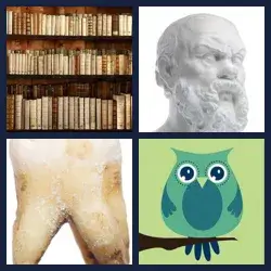 4 images 1 mot niveau 816