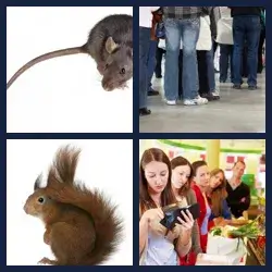 4 images 1 mot niveau 82