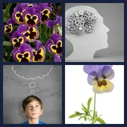 4 images 1 mot niveau 823