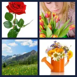 4 images 1 mot niveau 858