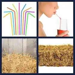 4 images 1 mot niveau 88