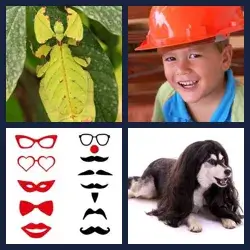 4 images 1 mot niveau 892