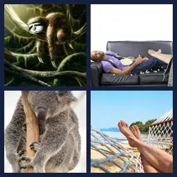 4 images 1 mot niveau 897