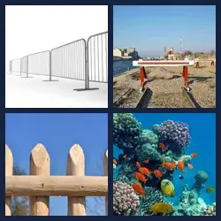 4 images 1 mot niveau 898