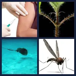 4 images 1 mot niveau 902