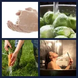 4 images 1 mot niveau 908